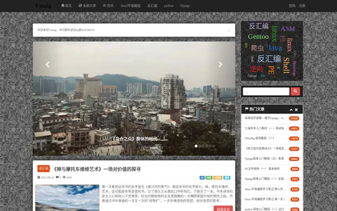 Vmaig 的首页截图