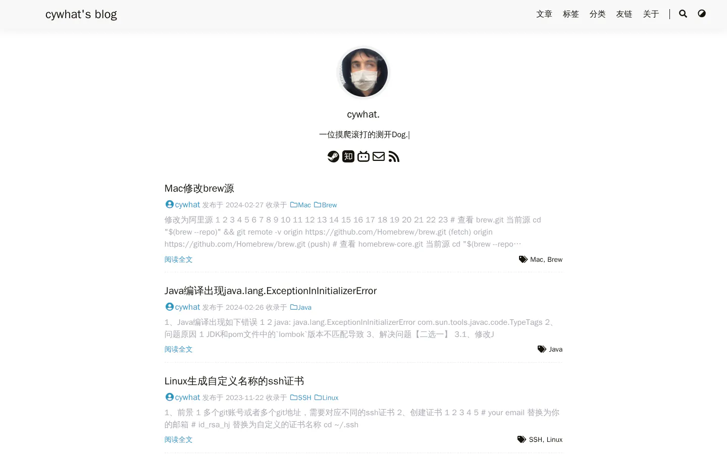 cywhat's blog 的首页截图