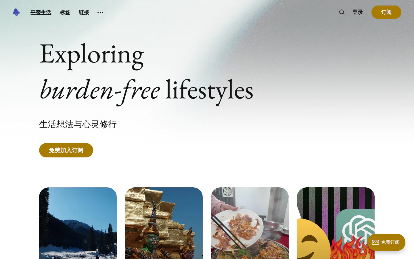 平替生活 的首页截图