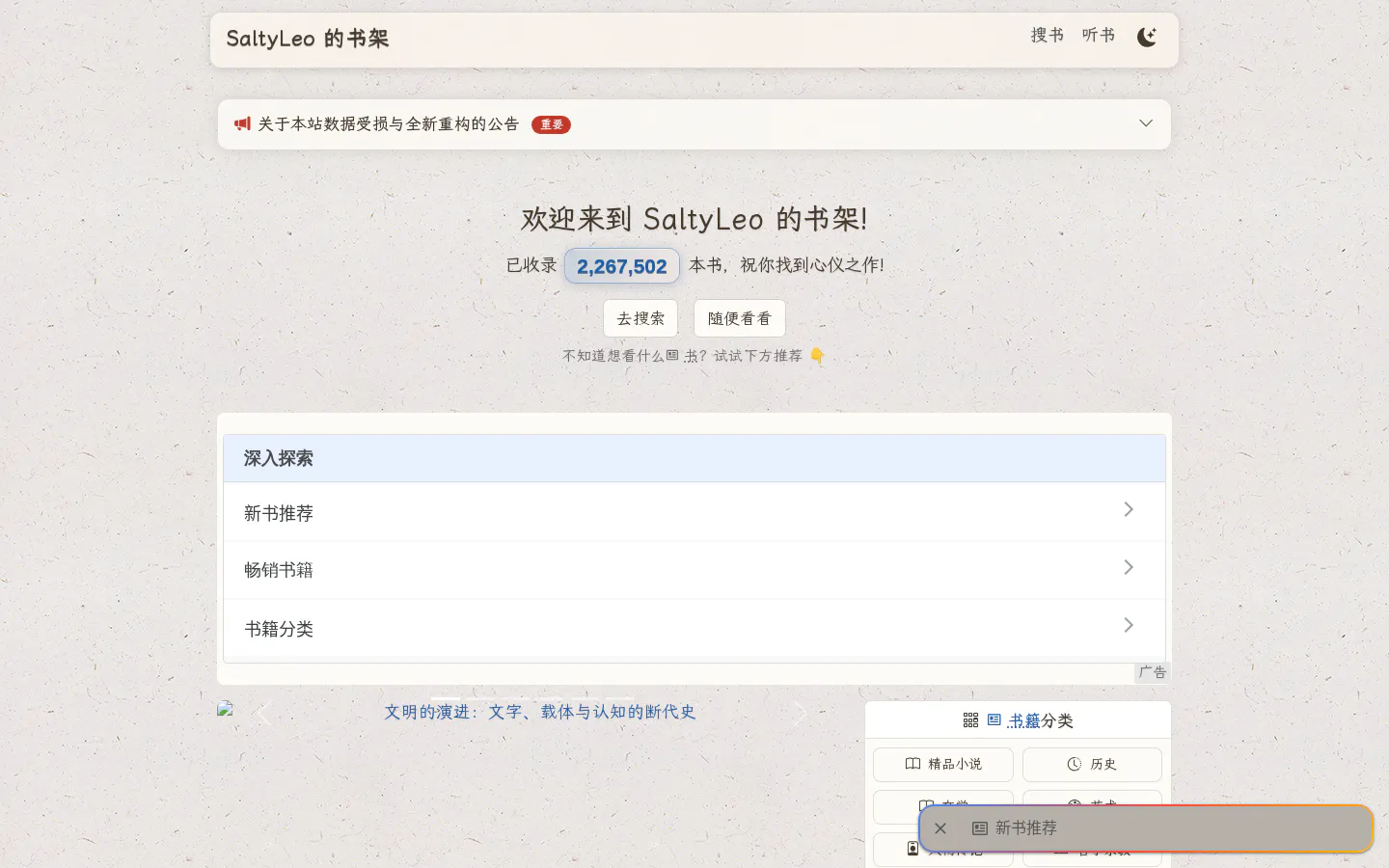 SaltyLeo 的博客 的首页截图