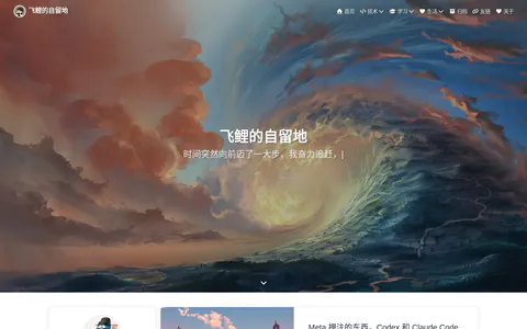 飞鲤的自留地 的首页截图