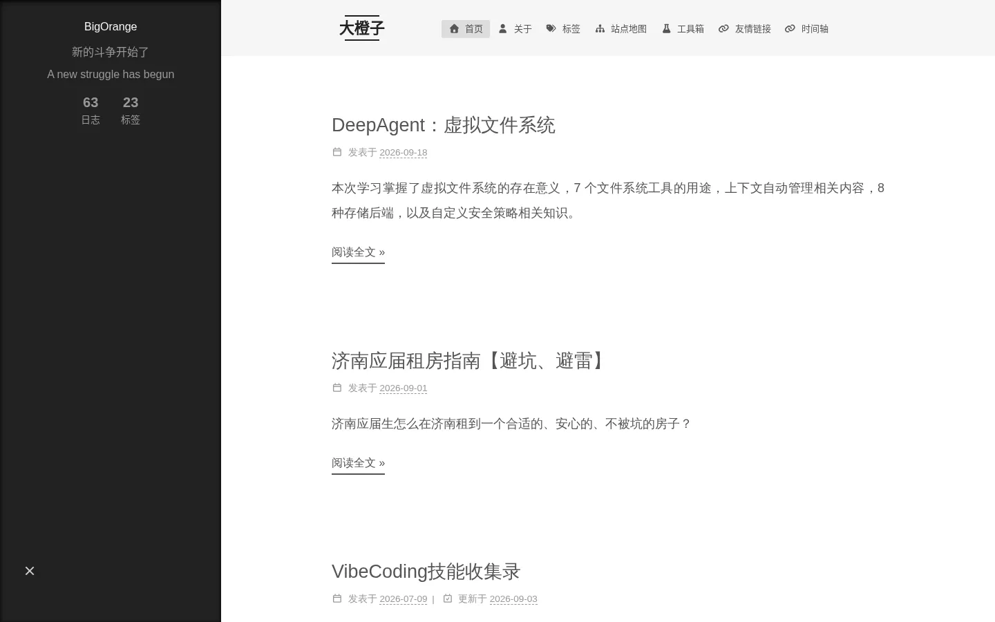 大橙子的知识杂货铺 的首页截图