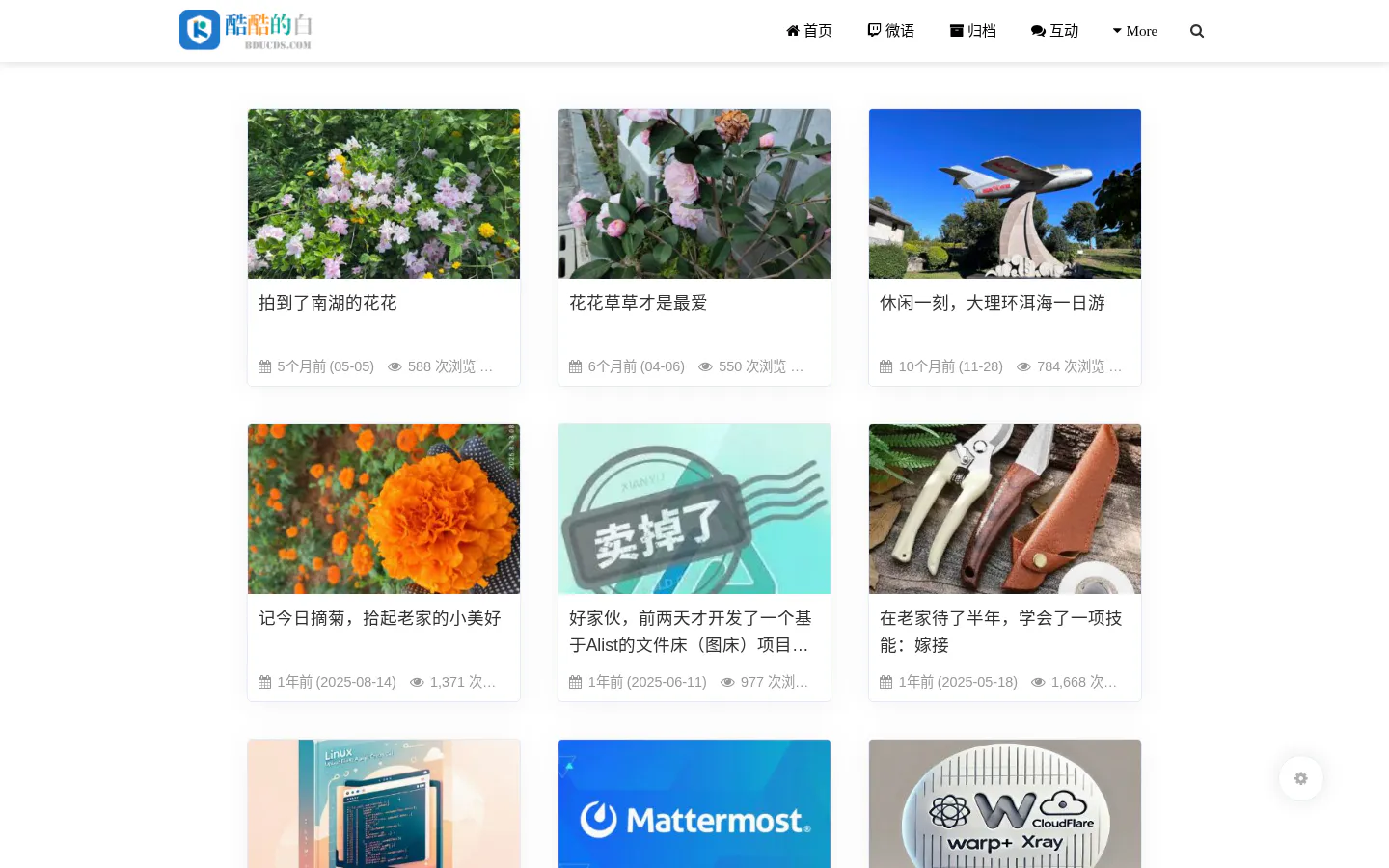 酷酷的白 的首页截图