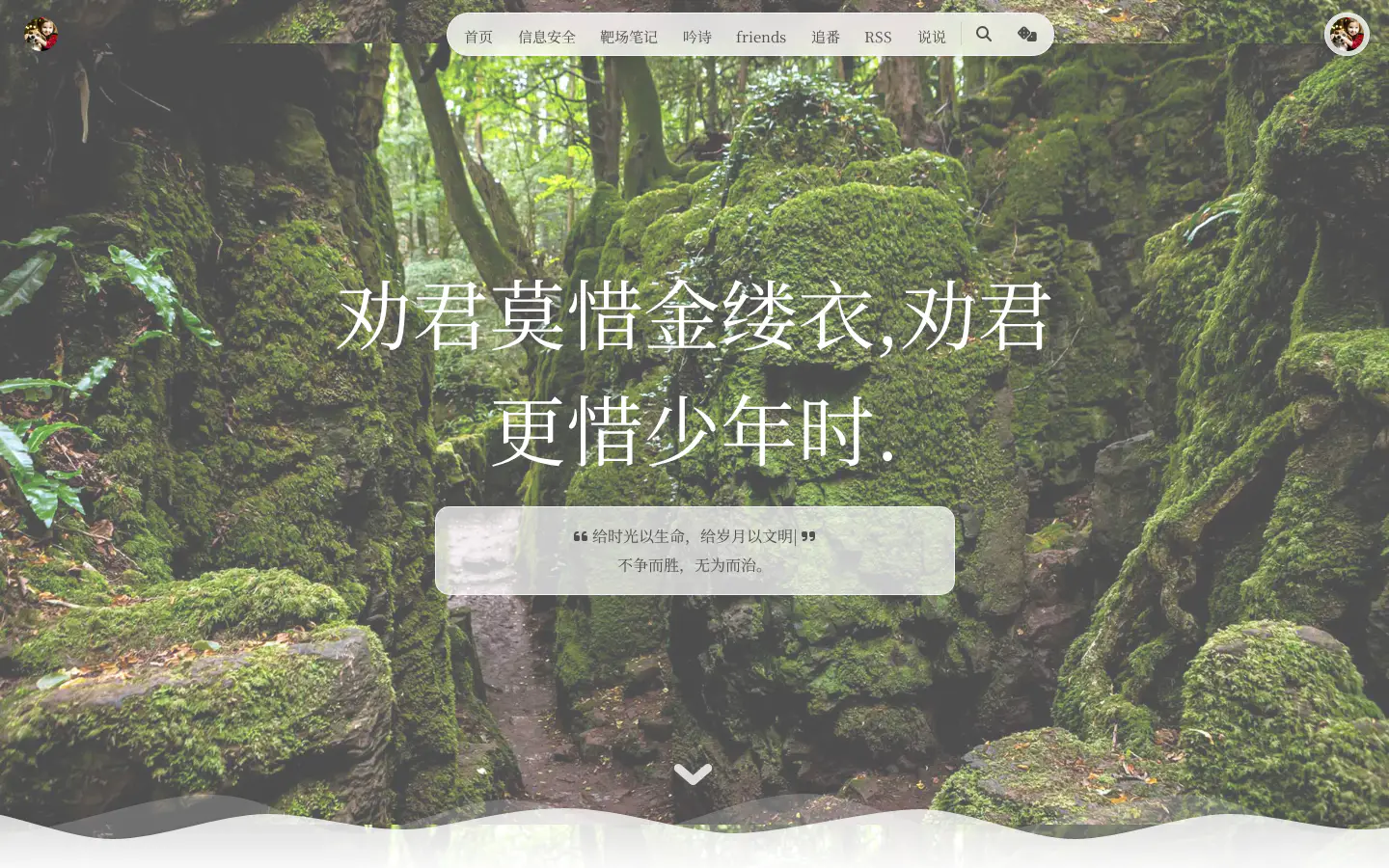 慕鸢のblog 的首页截图