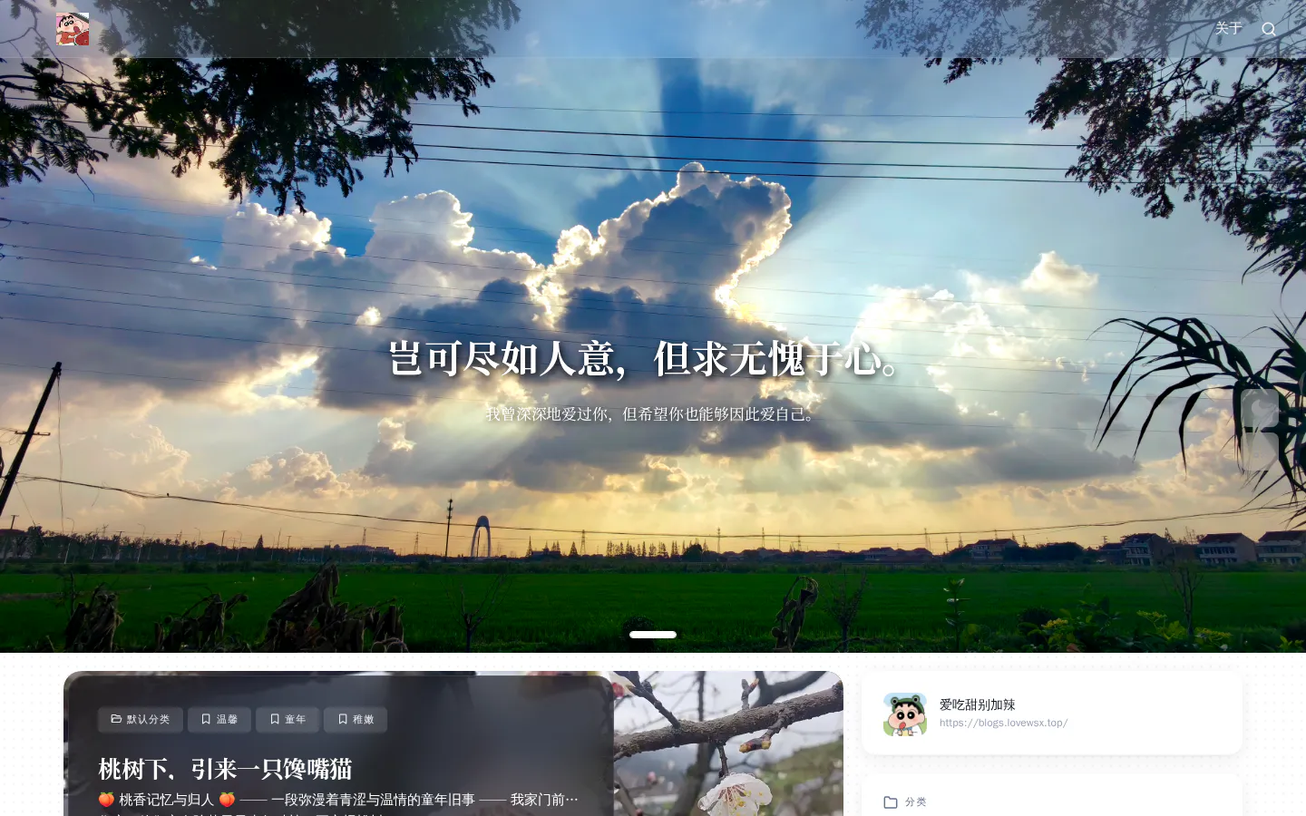 爱吃甜别加辣 的首页截图